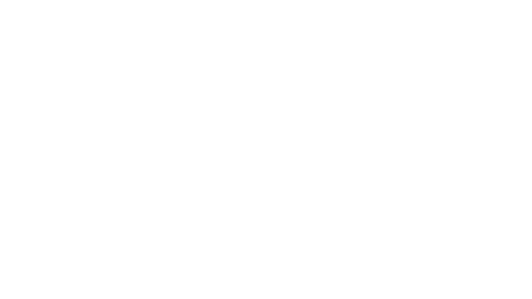 DVO italia
